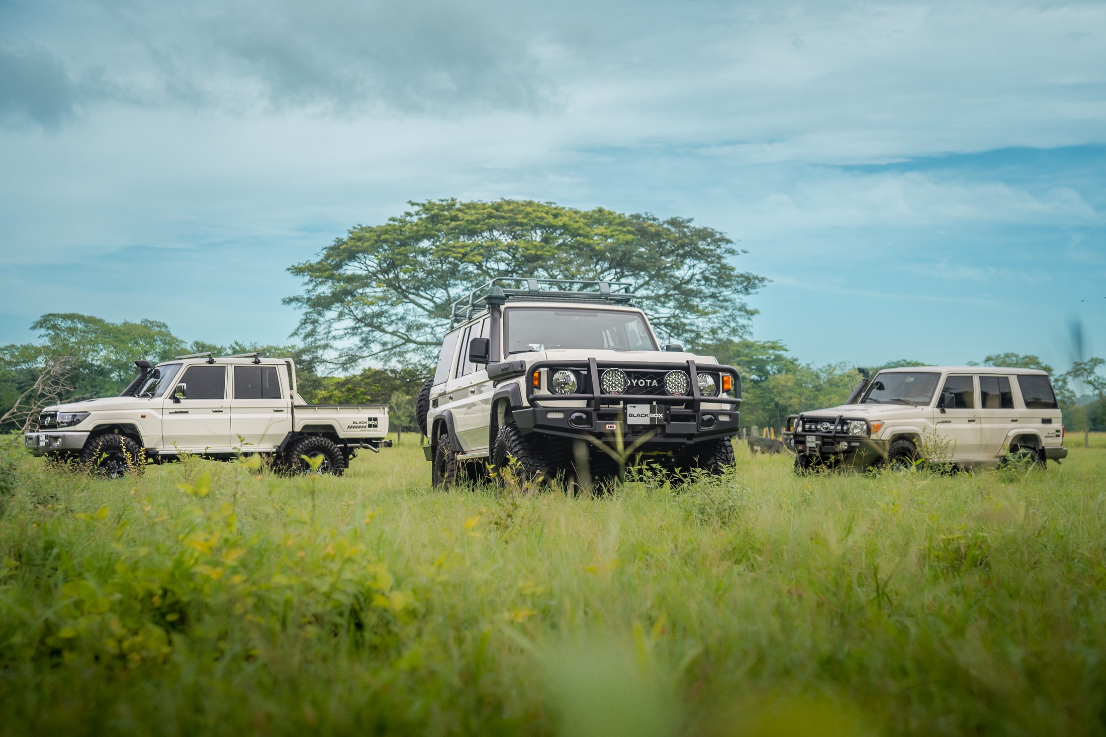 Three BlackBox 4x4 Toyota Land Cruiser 70s in a green field under a large tree, photographed by Maxime Hugo
