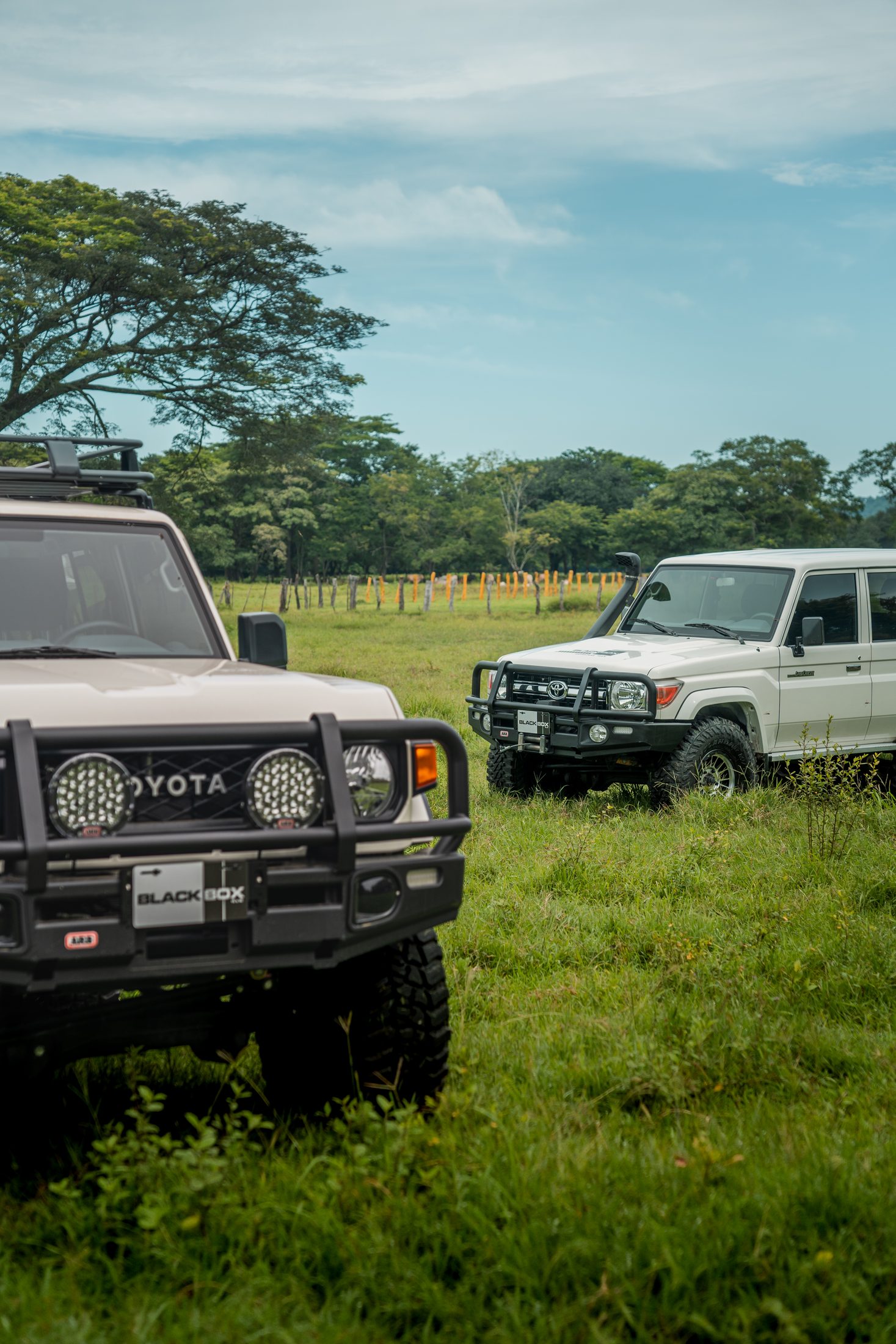 Two white Toyota Land Cruiser 70s facing each other in a pasture, photographed by Maxime Hugo