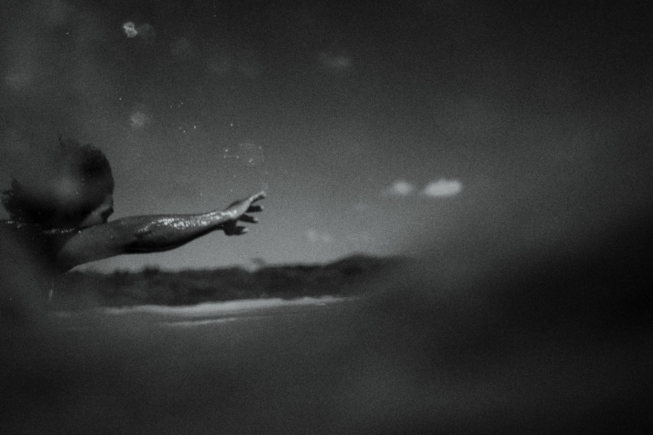 Surf still by Maxime Hugo